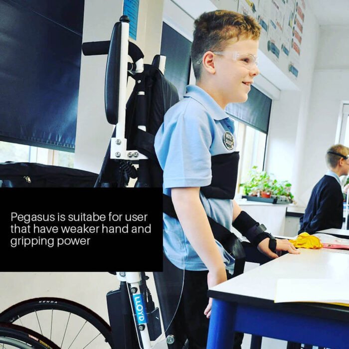 Pegasus (Semi-Power Standing Wheelchair) - Image 2